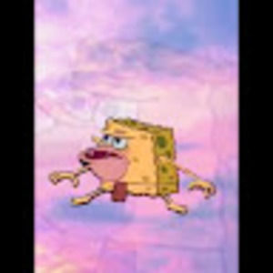 Meet your Posher, Maci